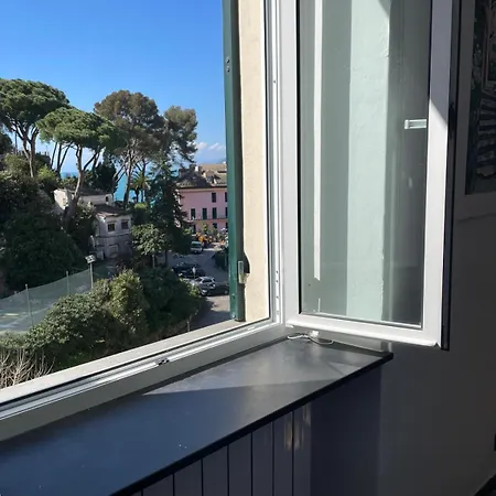 Vasa * Camogli